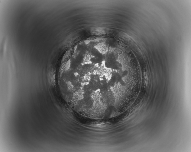 X0000093410267200710260944