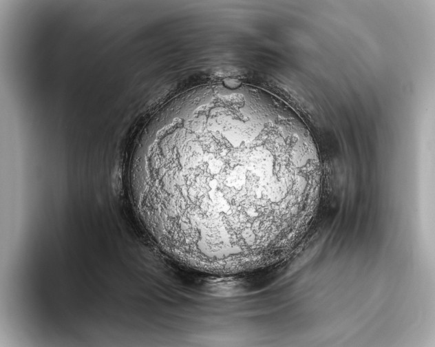 X0000093410269200710260944