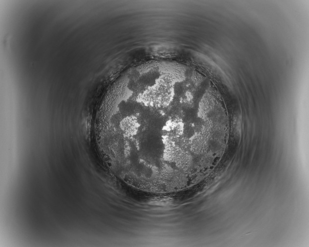 X0000093410271200710260944