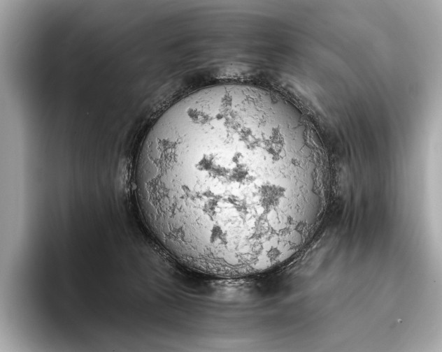 X0000093410273200710260944