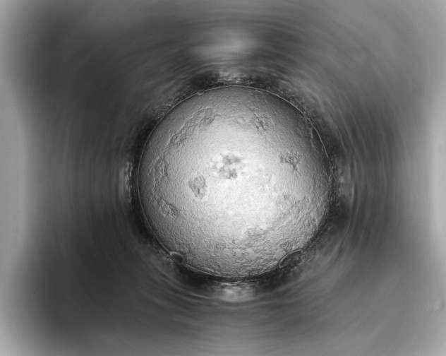 X0000093410275200710260944