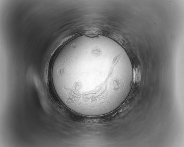 X0000093410291200710260943