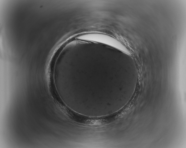 X0000093410295200710260943