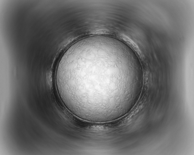 X0000093410298200710260943