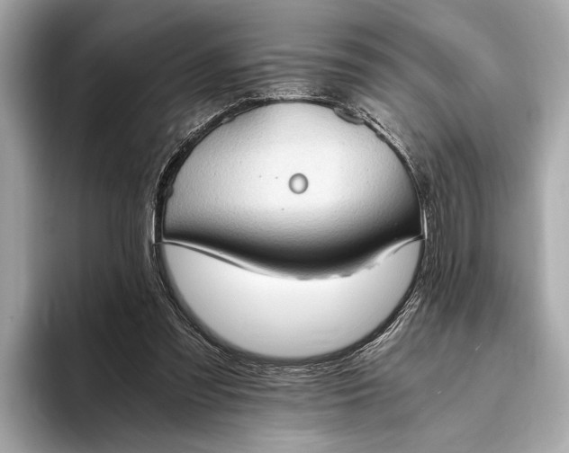 X0000093410301200710260943