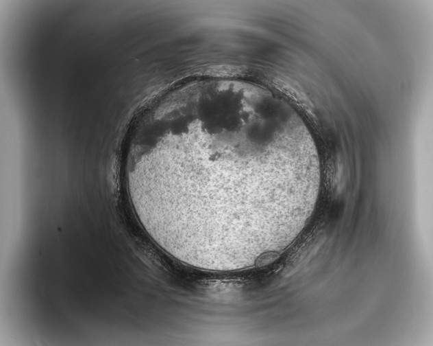 X0000093410303200710260943