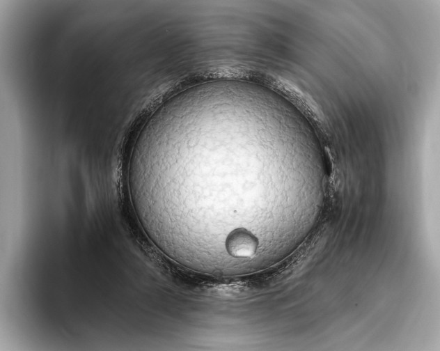 X0000093410306200710260943