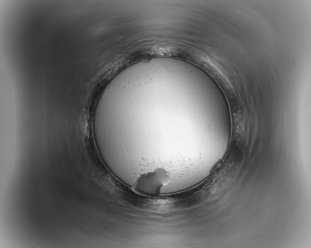 X0000093410313200710260943