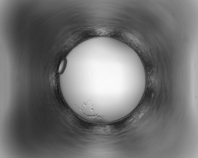 X0000093410317200710260943