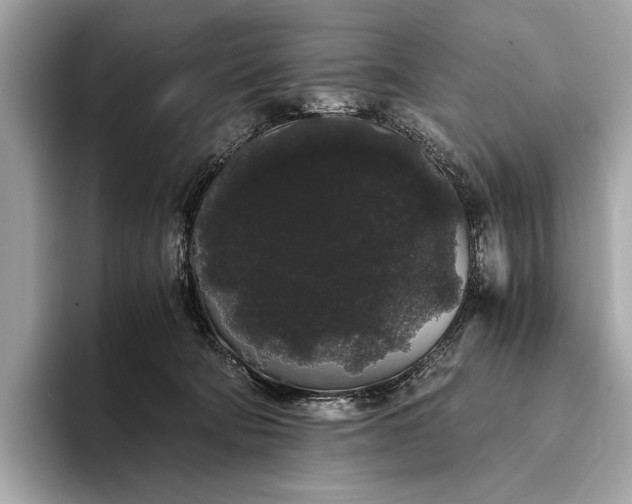 X0000093410322200710260943