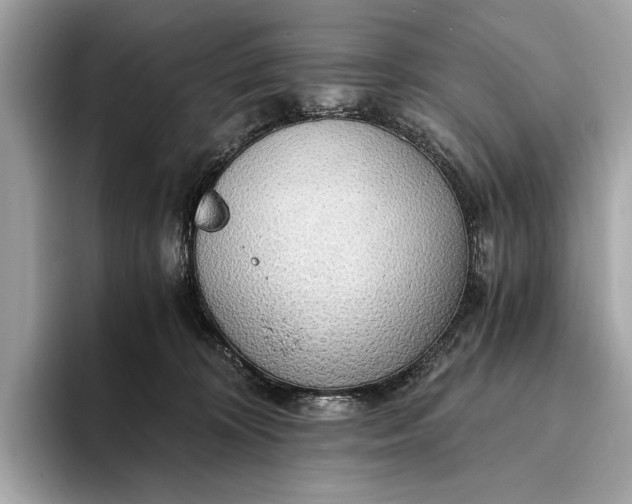 X0000093410324200710260943