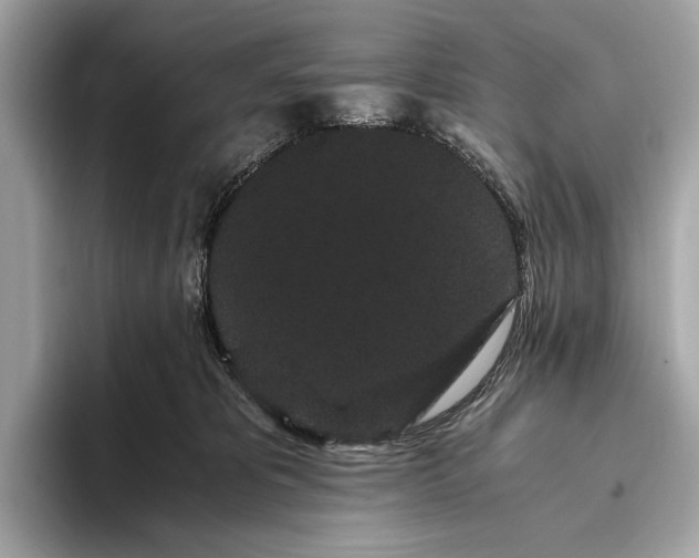 X0000093410325200710260943