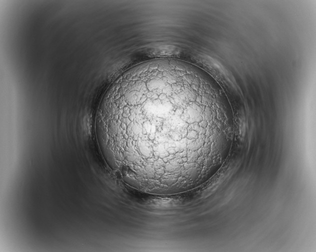 X0000093410326200710260943