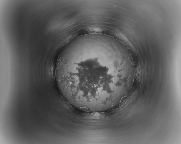 X0000093410330200710260943