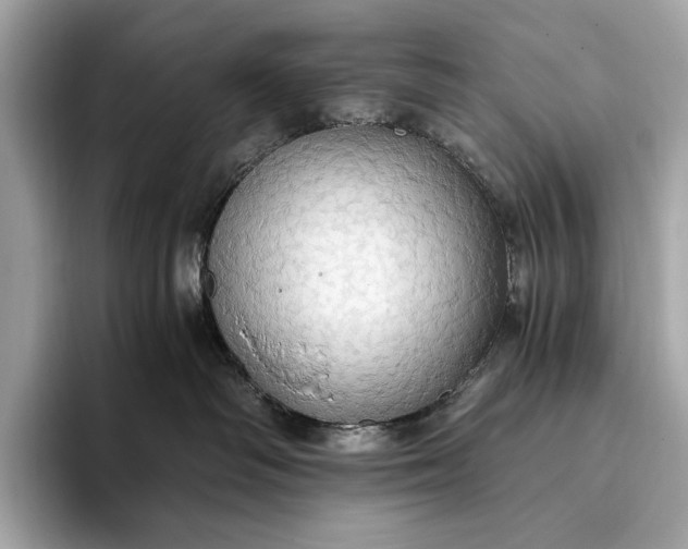 X0000093410334200710260943