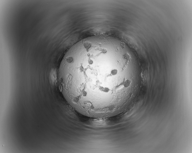 X0000093410335200710260943