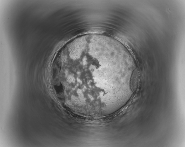 X0000093410337200710260942