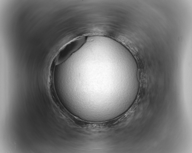 X0000093410338200710260942