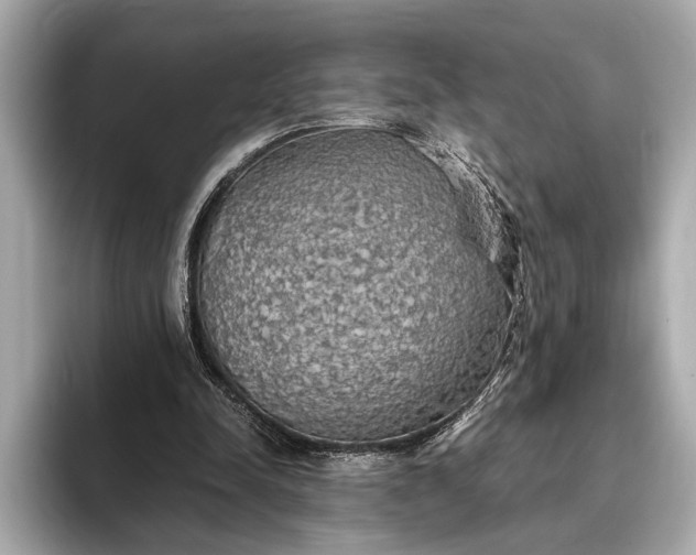 X0000093410342200710260942