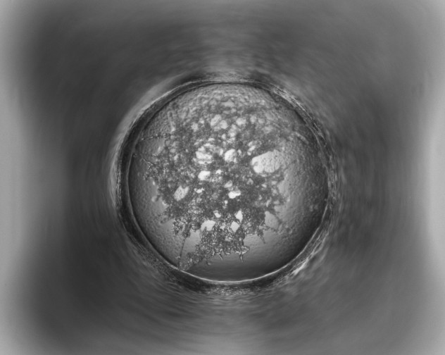 X0000093410343200710260942