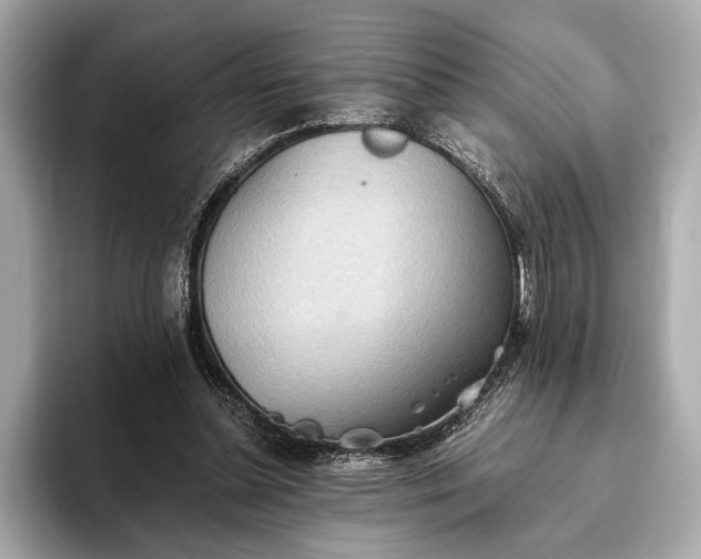 X0000093410348200710260942