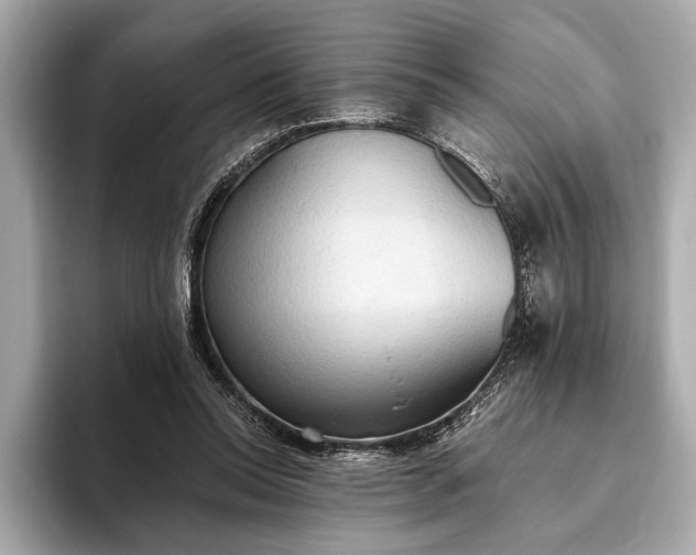 X0000093410350200710260942