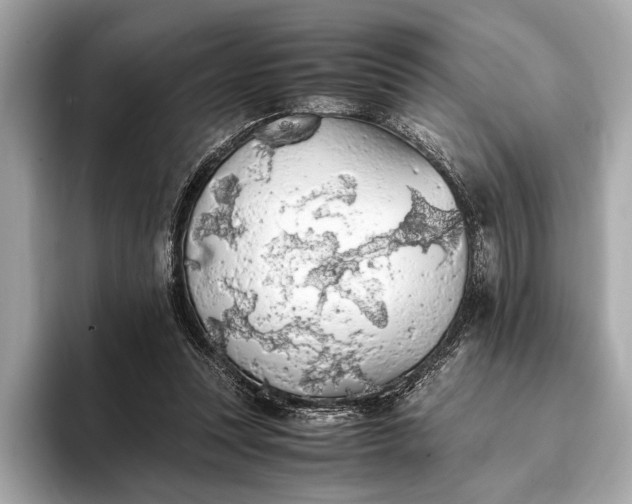 X0000093410351200710260942