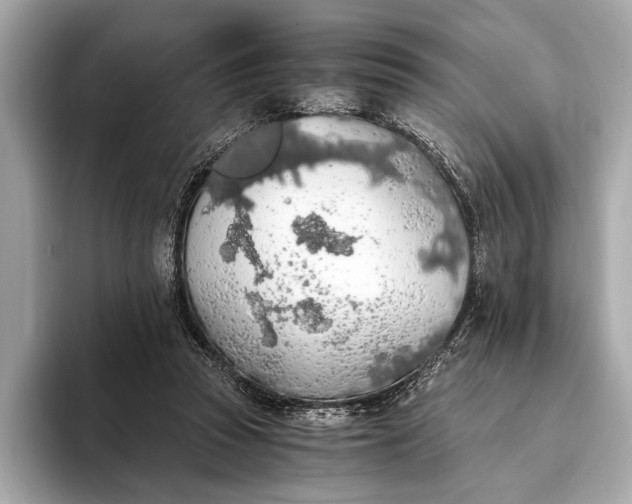 X0000093410353200710260942