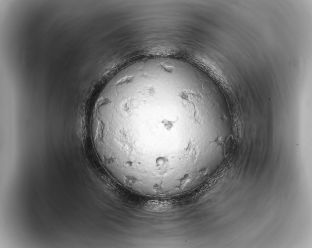 X0000093410354200710260942