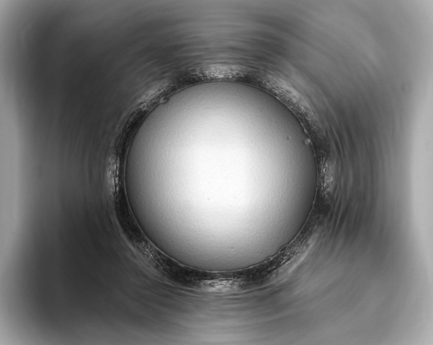 X0000093410356200710260942