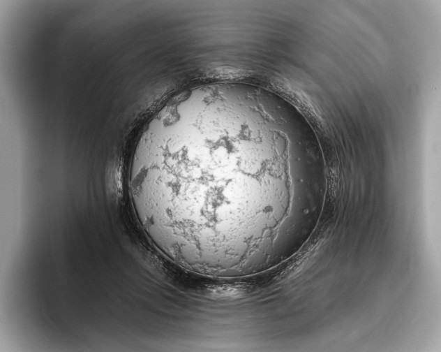 X0000093410358200710260943