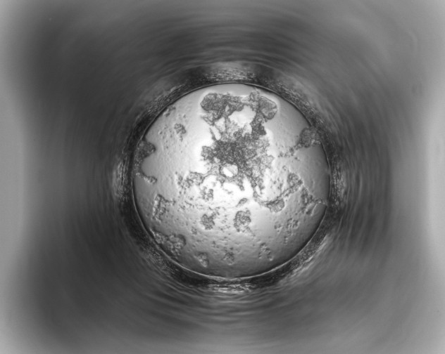 X0000093410359200710260943