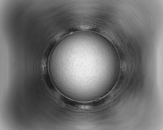 X0000093410360200710260943