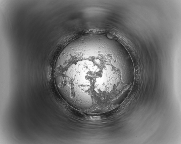 X0000093410361200710260943