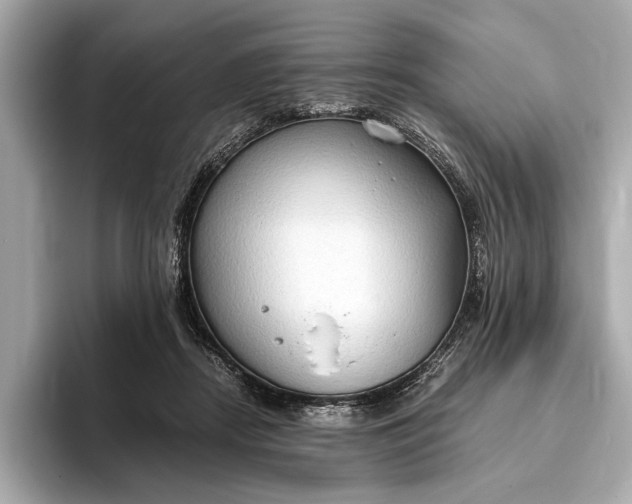 X0000093410362200710260943