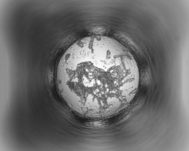 X0000093410365200710260943