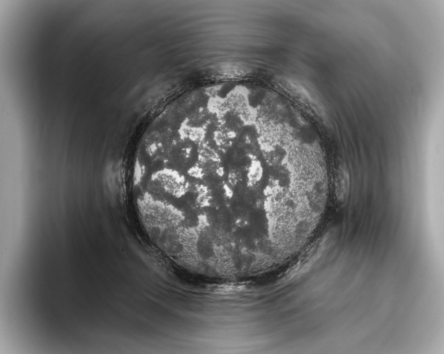 X0000093410366200710260943