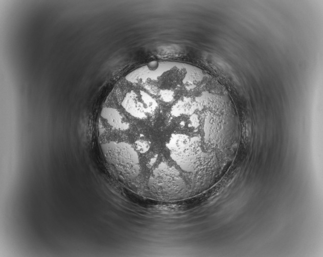 X0000093410367200710260943