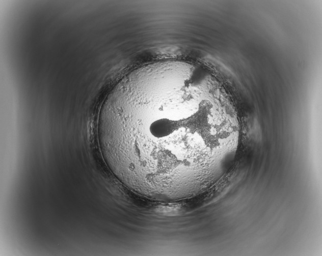 X0000093410369200710260943