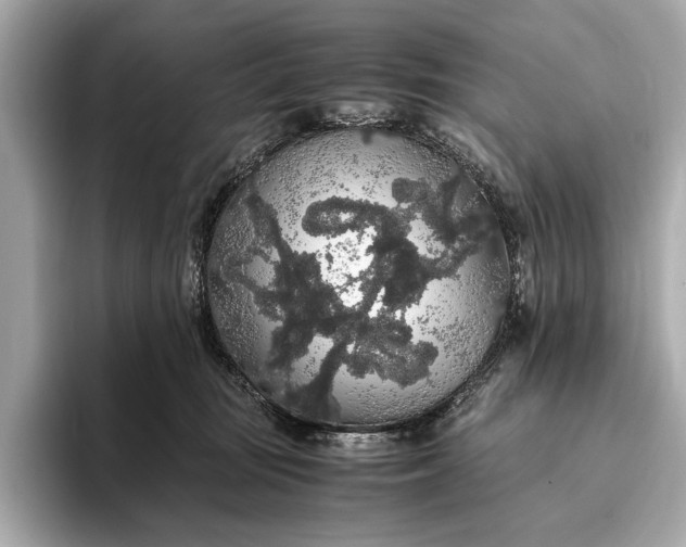 X0000093410371200710260943