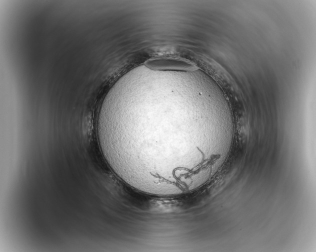 X0000093410372200710260943