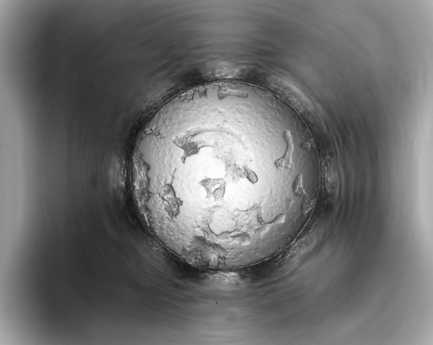 X0000093410374200710260943