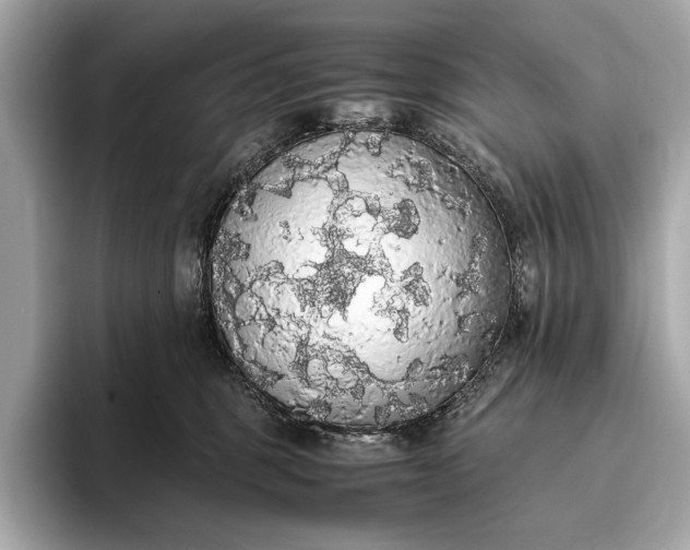 X0000093410375200710260943