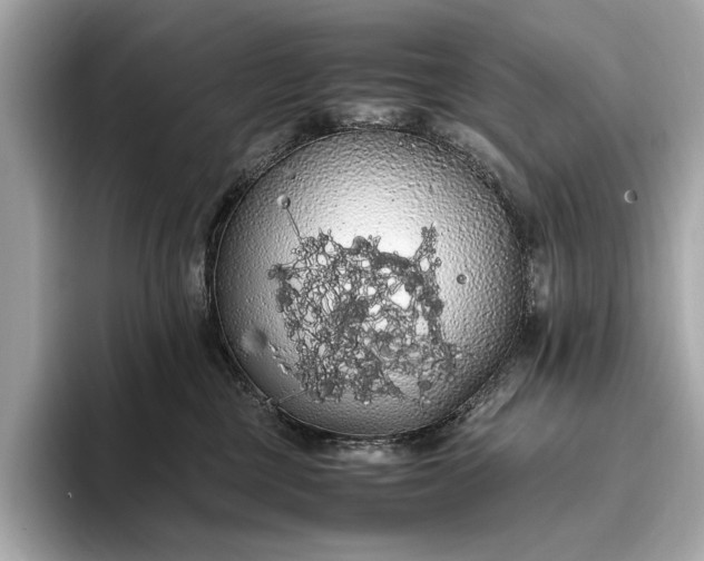 X0000093410377200710260943