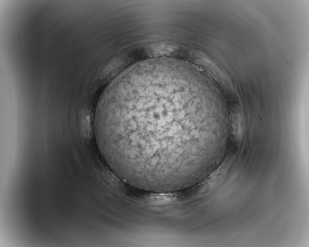 X0000093410378200710260943