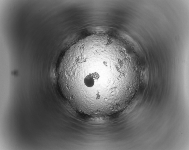 X0000093410381200710260943