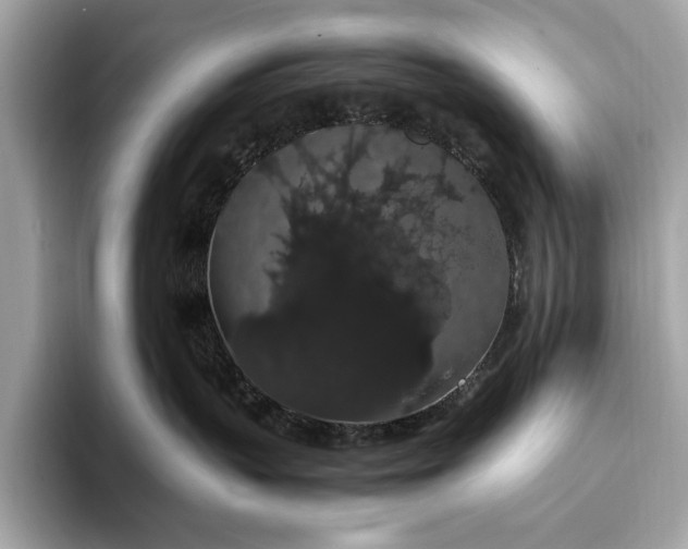 X0000093410383200710260943