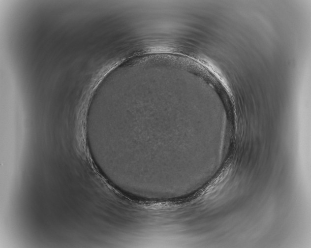 X0000093410385200710260942