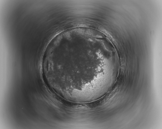 X0000093410386200710260942