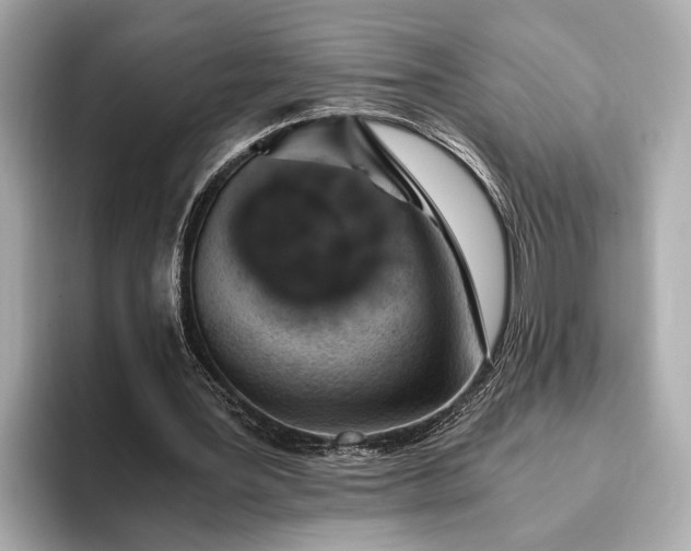 X0000093410387200710260942